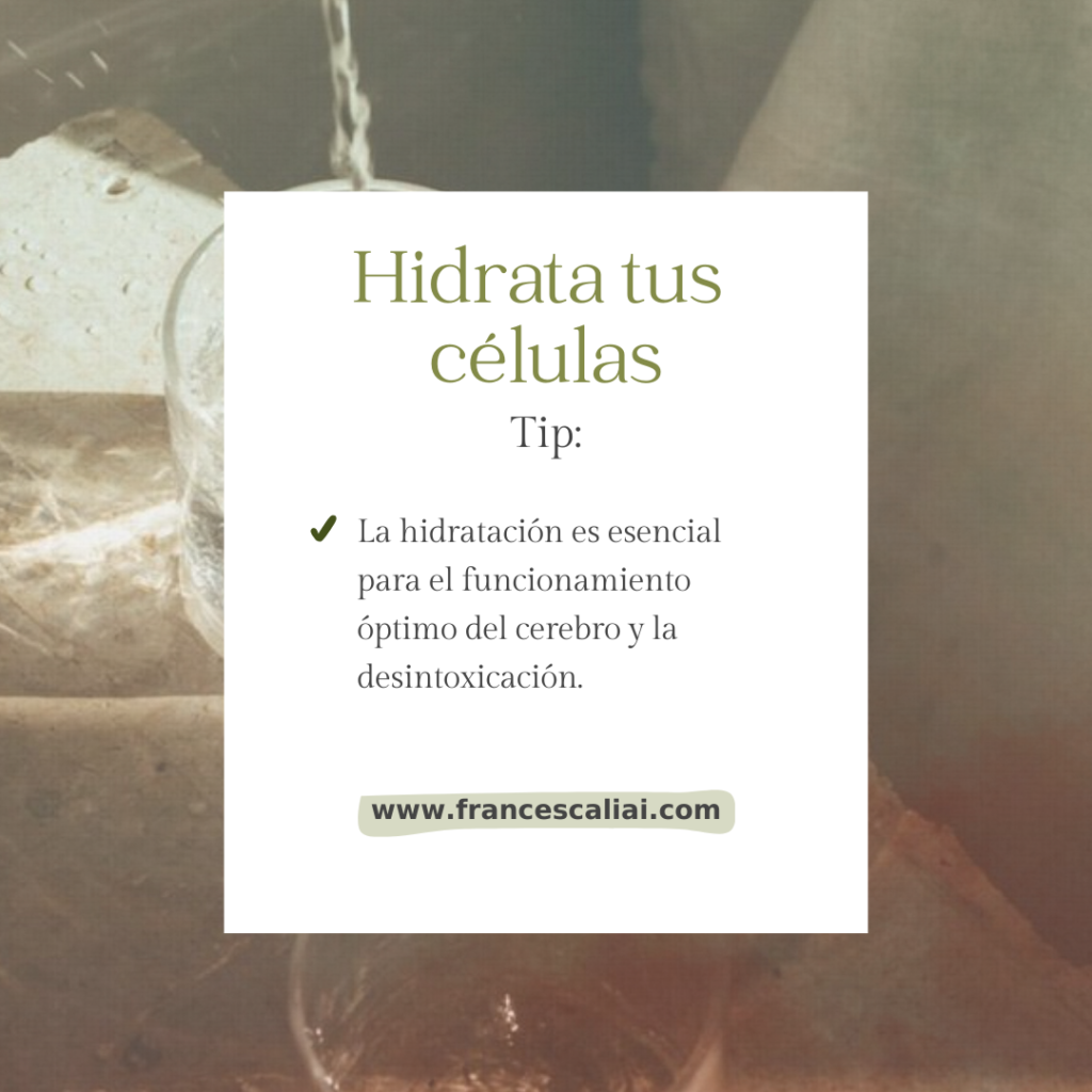 HIDRATA TUS CÉLULAS